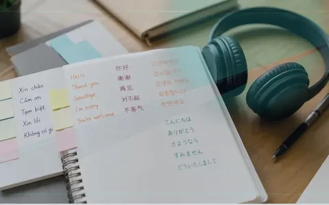 Tự Động Hóa Dịch Thuật Là Gì?