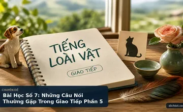 Bài Học Số 7: Những Câu Nói Thường Gặp Trong Giao Tiếp Phần 5