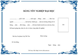 Dịch Thuật Công Chứng Bằng Tốt Nghiệp Đại Học